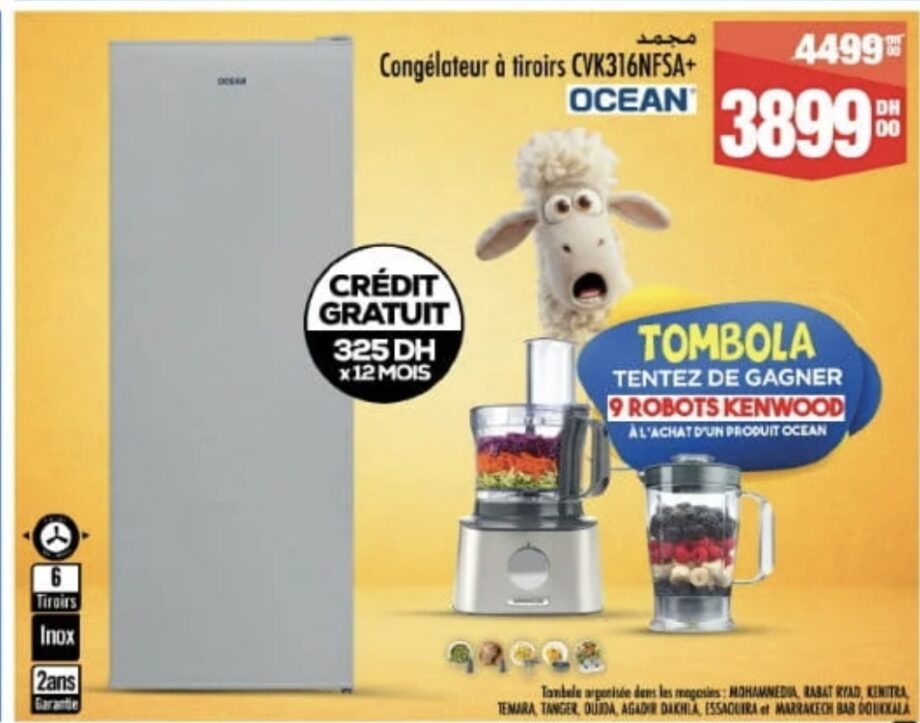 Bon Plan Congélateur à tiroirs OCEAN CVK316NFSA+ / Aswak Assalam